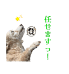 リンとユウのスタンプ8（個別スタンプ：30）