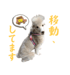 リンとユウのスタンプ8（個別スタンプ：32）