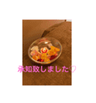 月の雫moon drop（個別スタンプ：4）