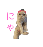 マンチスタンプ（個別スタンプ：7）
