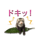 おやさいフェレット（個別スタンプ：1）