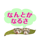 おやさいフェレット（個別スタンプ：3）