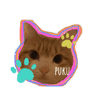 ぷくみちゃん（個別スタンプ：10）