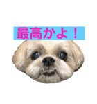 みんなのアイドルクッキーちゃん3（個別スタンプ：7）