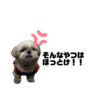 みんなのアイドルクッキーちゃん3（個別スタンプ：11）