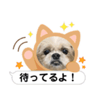 みんなのアイドルクッキーちゃん3（個別スタンプ：13）
