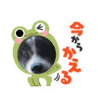 秋田犬の銀ちゃん2（個別スタンプ：18）