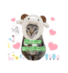 猫❤️冬スタンプ❤️キジトラ❤️ミケ❤️①（個別スタンプ：4）