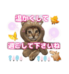 猫❤️冬スタンプ❤️キジトラ❤️ミケ❤️①（個別スタンプ：5）