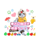 猫❤️冬スタンプ❤️キジトラ❤️ミケ❤️①（個別スタンプ：8）