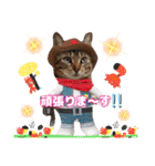 猫❤️冬スタンプ❤️キジトラ❤️ミケ❤️①（個別スタンプ：13）