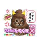 猫❤️冬スタンプ❤️キジトラ❤️ミケ❤️①（個別スタンプ：25）