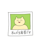 ねこのスタンプ〜ねこが何か言っている〜（個別スタンプ：13）