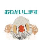 げんきなキンカチョウ（個別スタンプ：26）