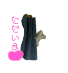 カメレオントゲPチャンの日常（個別スタンプ：8）