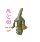 カメレオントゲPチャンの日常（個別スタンプ：11）