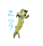 カメレオントゲPチャンの日常（個別スタンプ：16）