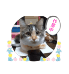 くりんちゃんスタンプ（個別スタンプ：5）