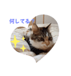 くりんちゃんスタンプ（個別スタンプ：14）