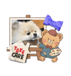 pomeranian kaito3（個別スタンプ：30）
