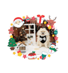 pomeranian kaito3（個別スタンプ：38）