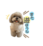 くぅたま 第2弾（個別スタンプ：1）
