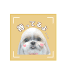くぅたま 第2弾（個別スタンプ：2）