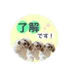 くぅたま 第2弾（個別スタンプ：7）