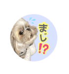くぅたま 第2弾（個別スタンプ：8）