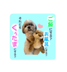 くぅたま 第2弾（個別スタンプ：11）