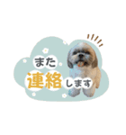 くぅたま 第2弾（個別スタンプ：16）