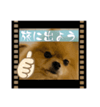 いつでも！レンくん（個別スタンプ：9）