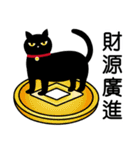 魔法の黒猫˙ユニバーサルデイリー（個別スタンプ：11）
