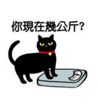 魔法の黒猫˙ユニバーサルデイリー（個別スタンプ：30）