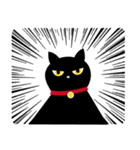 魔法の黒猫˙ユニバーサルデイリー（個別スタンプ：31）