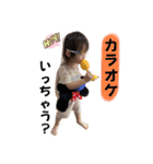 Hina.ayaSTAMP（個別スタンプ：3）