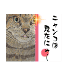 にゃーにゃーにゃー(=^ェ^=)（個別スタンプ：36）