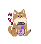 麦八兵衛 (柴犬)（個別スタンプ：3）