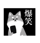 麦八兵衛 (柴犬)（個別スタンプ：15）