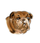 Irvin's dogs 2（個別スタンプ：26）