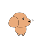 あたちが1番。かわいいいぬちゃん(修正vr)（個別スタンプ：3）
