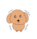 あたちが1番。かわいいいぬちゃん(修正vr)（個別スタンプ：11）