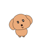あたちが1番。かわいいいぬちゃん(修正vr)（個別スタンプ：35）