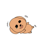 あたちが1番。かわいいいぬちゃん(修正vr)（個別スタンプ：37）