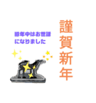 新年の挨拶、年賀状あけましておめでとう寿（個別スタンプ：13）