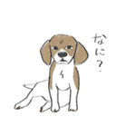 犬猫うちの子どもたち（個別スタンプ：1）