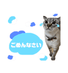 スーパー煌志さん☀️（と、その仲間）（個別スタンプ：9）