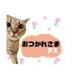 スーパー煌志さん☀️（と、その仲間）（個別スタンプ：10）