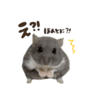 おもちの日常すたんぷ（個別スタンプ：4）