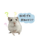 おもちの日常すたんぷ（個別スタンプ：5）